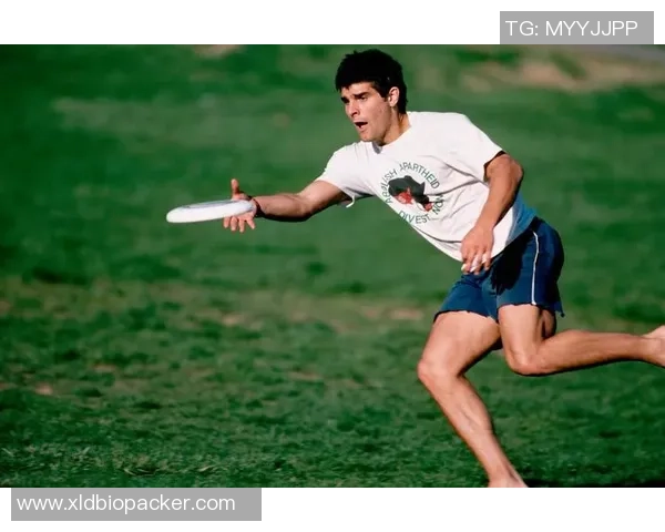 科学飞盘团队协作训练方法探讨与实践分享